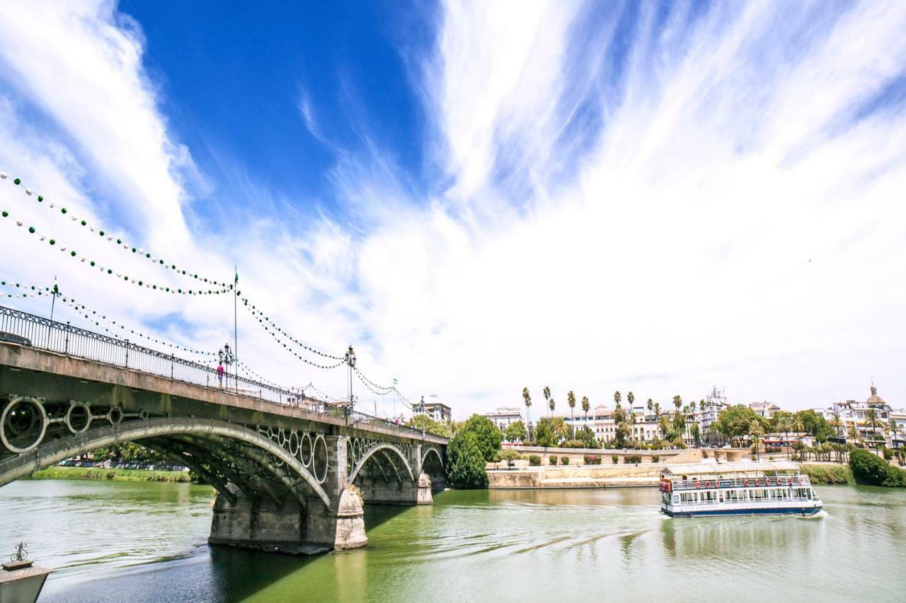 Alohamundi Pureza Sevilla