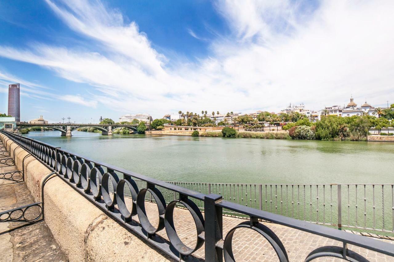 Alohamundi Pureza * Sevilla